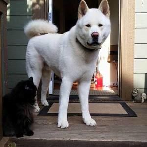 Meet your Posher, Jesse